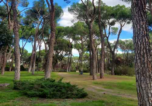 rutas-en-bici-500×350 Rutas en bici